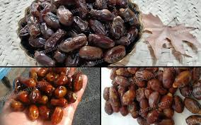 تصویر 2 از خرما کبکاب تازه فله با بافت نرم و رنگ طبیعی